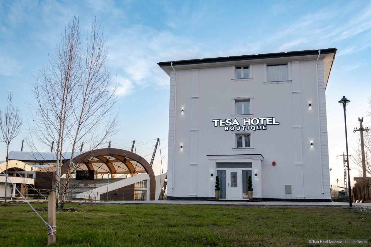 Tesa Boutique Hotel Тыргу-Нямц Экстерьер фото